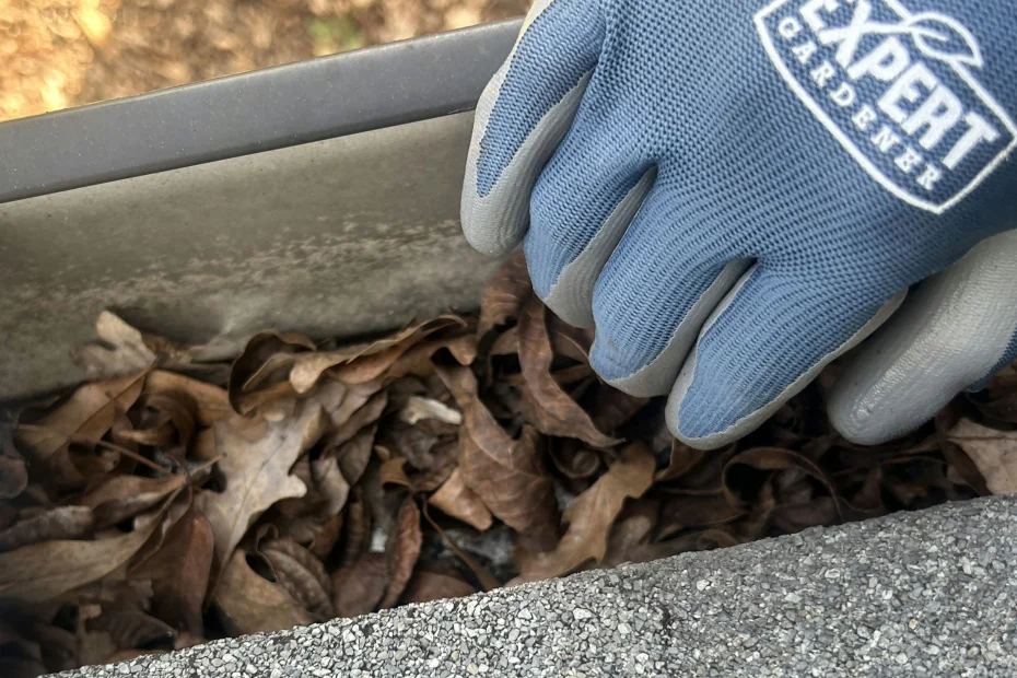 Gutter Cleaning Safety Harbor FL