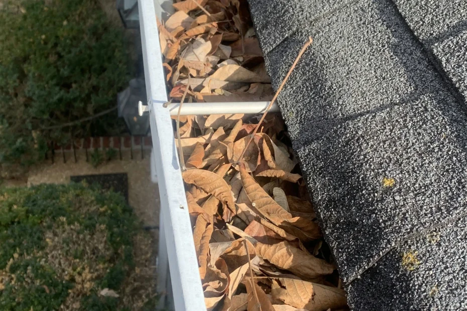 Gutter Cleaning Safety Harbor FL