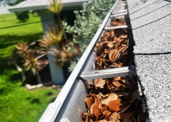 Gutter Cleaning Safety Harbor FL home page